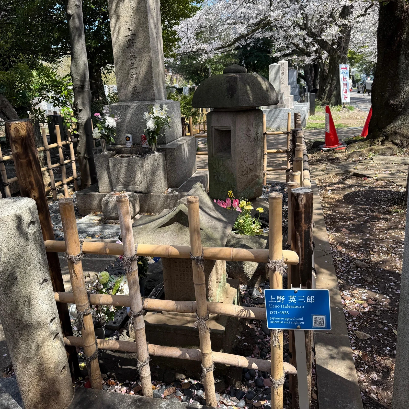 Visite de Tokyo à vélo ou en e-bike en 3 heures