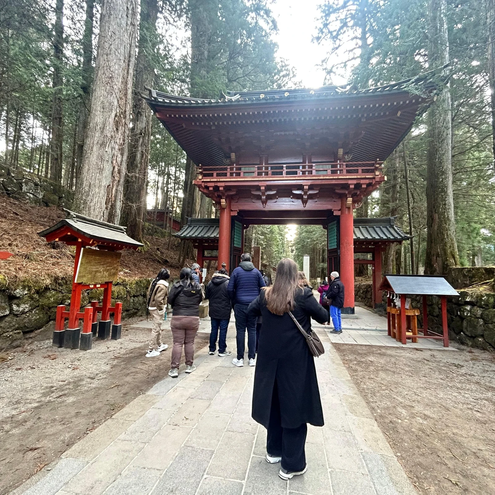 Excursion à Nikko depuis Tokyo : temples, cascades et lac en une journée