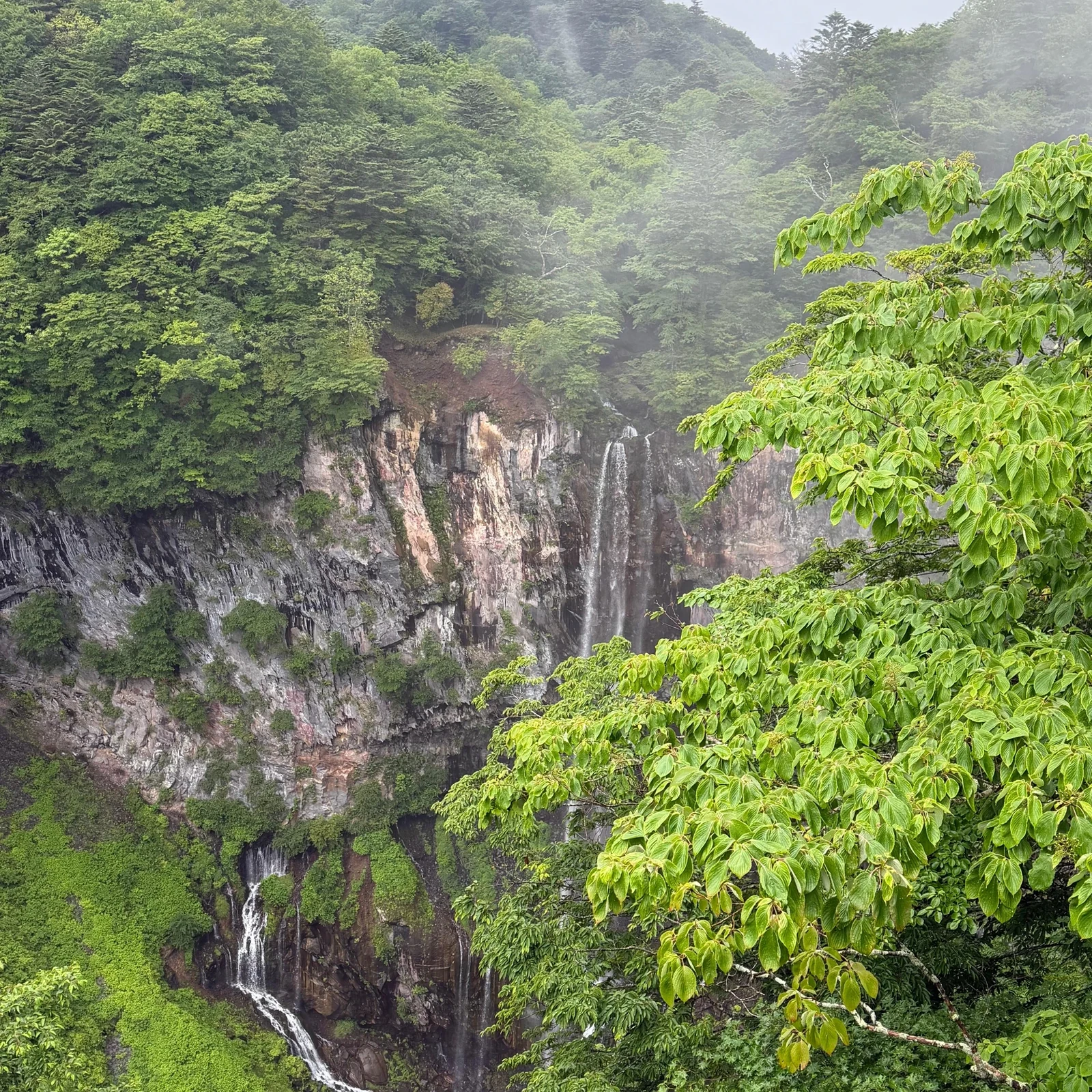 Excursión a Nikko desde Tokio con Toshogu, Kegon Falls y Lake Chuzenji