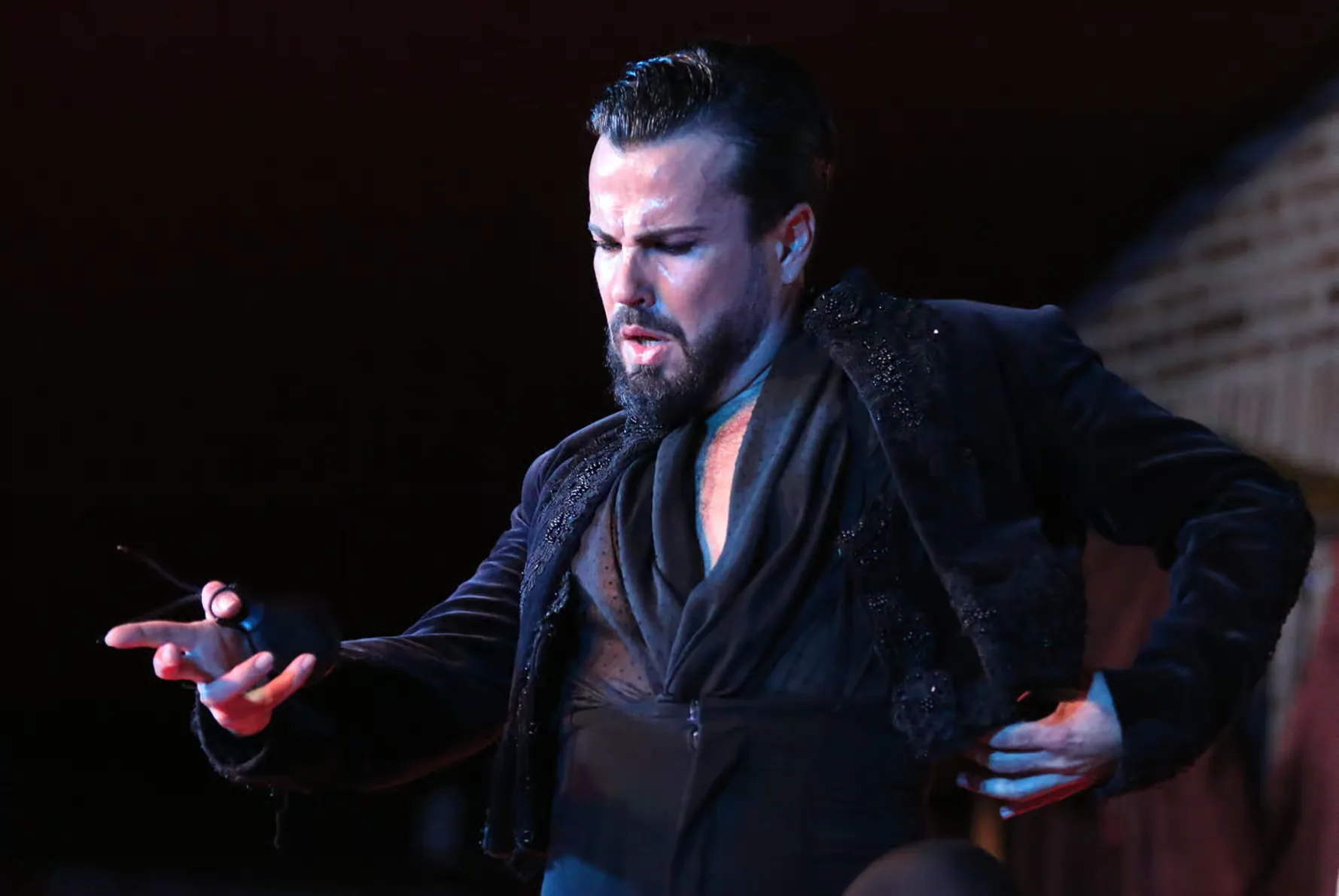 Vivez une soirée flamenco à Los Porches à Madrid