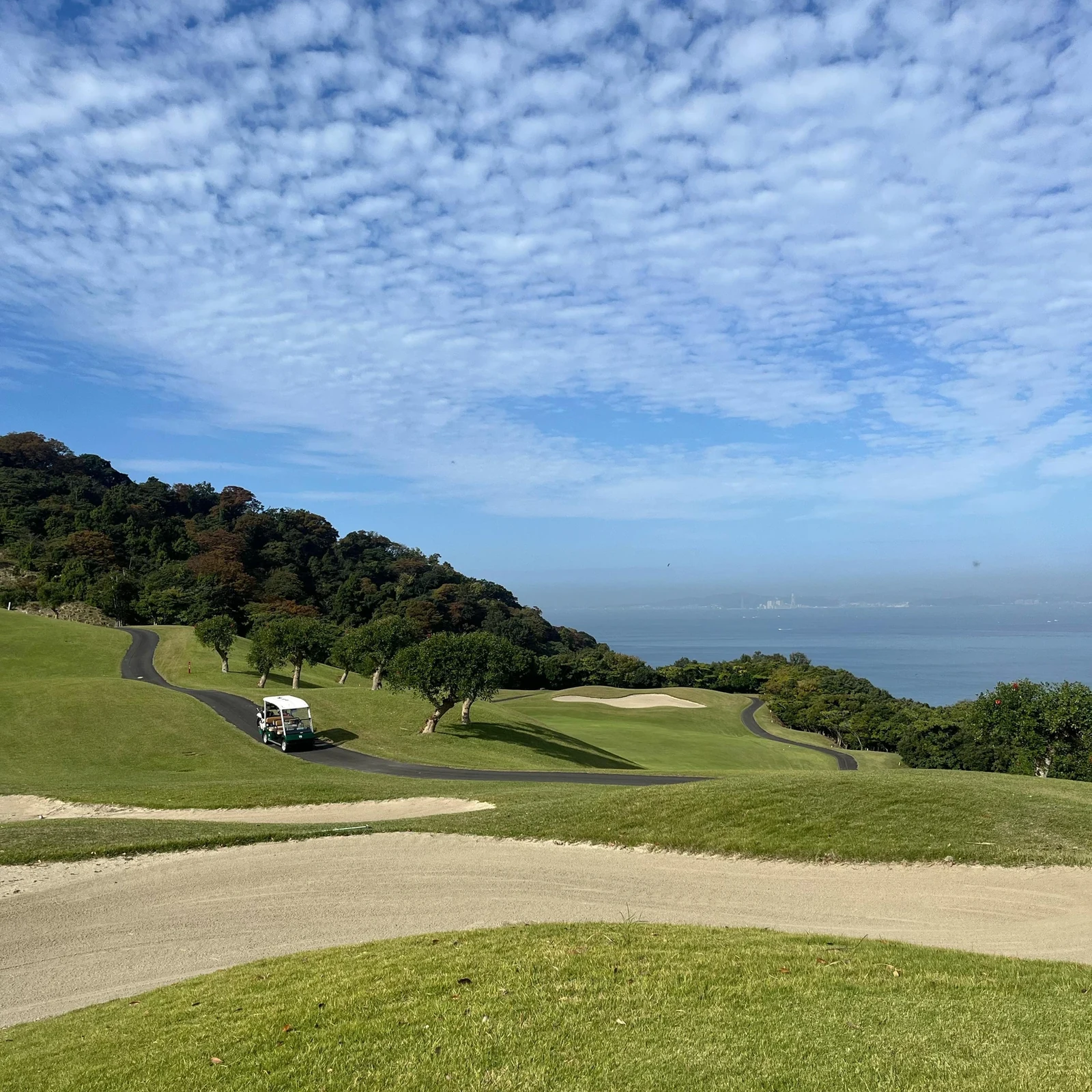 Excursion golf depuis Tokyo : 18 trous avec guide local