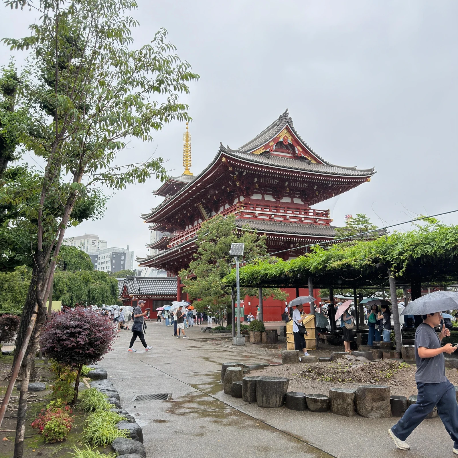 Visite d’Asakusa et du Senso-ji à Tokyo avec guide