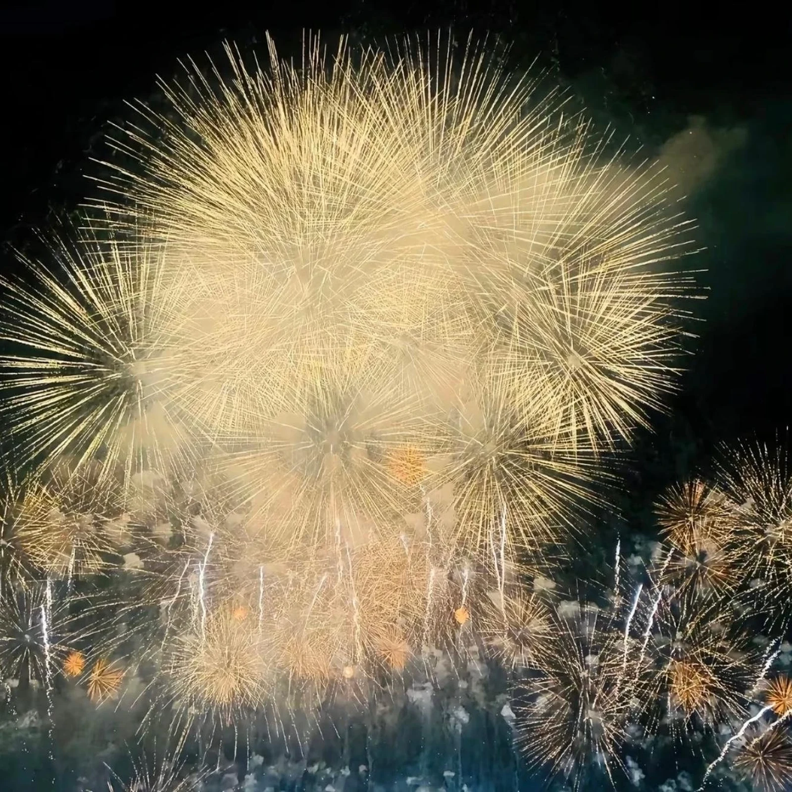 Excursion depuis Tokyo à Hakone Shrine, Atami Beach et feu d’artifice