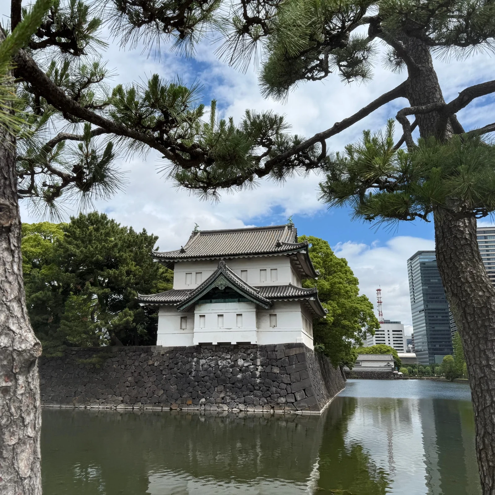 Tokyo Imperial Palace walking tour and shogun history