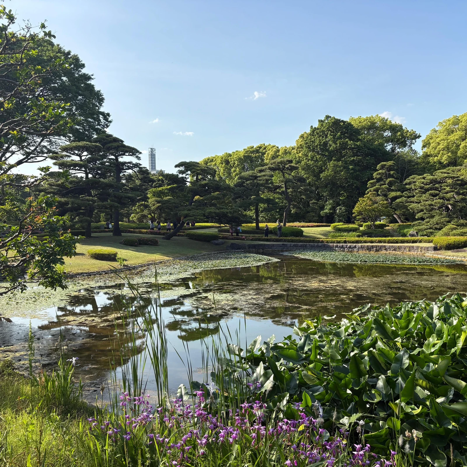 Tokyo Imperial Palace walking tour and shogun history