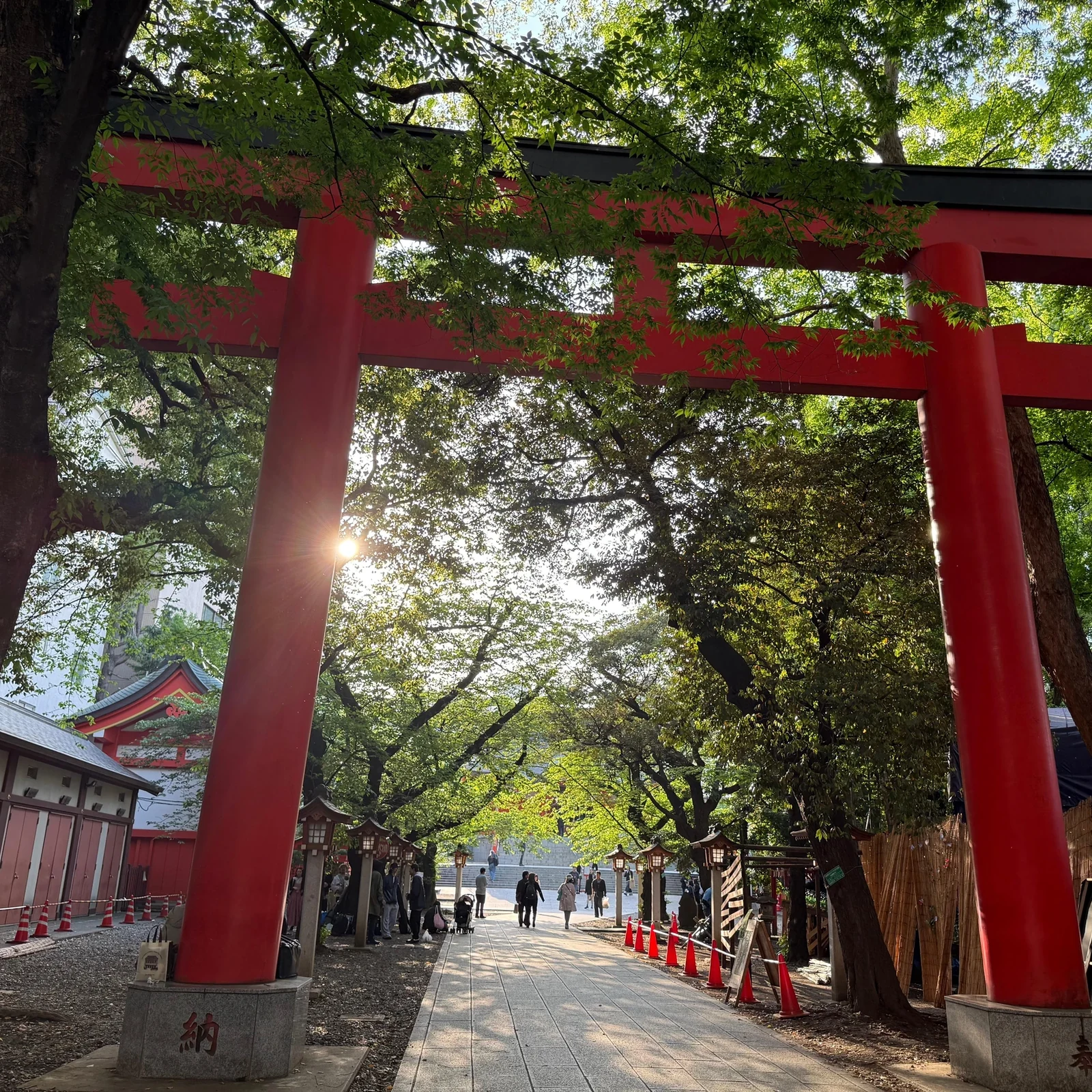 Visite true crime et fantômes à Tokyo | Shinjuku de nuit