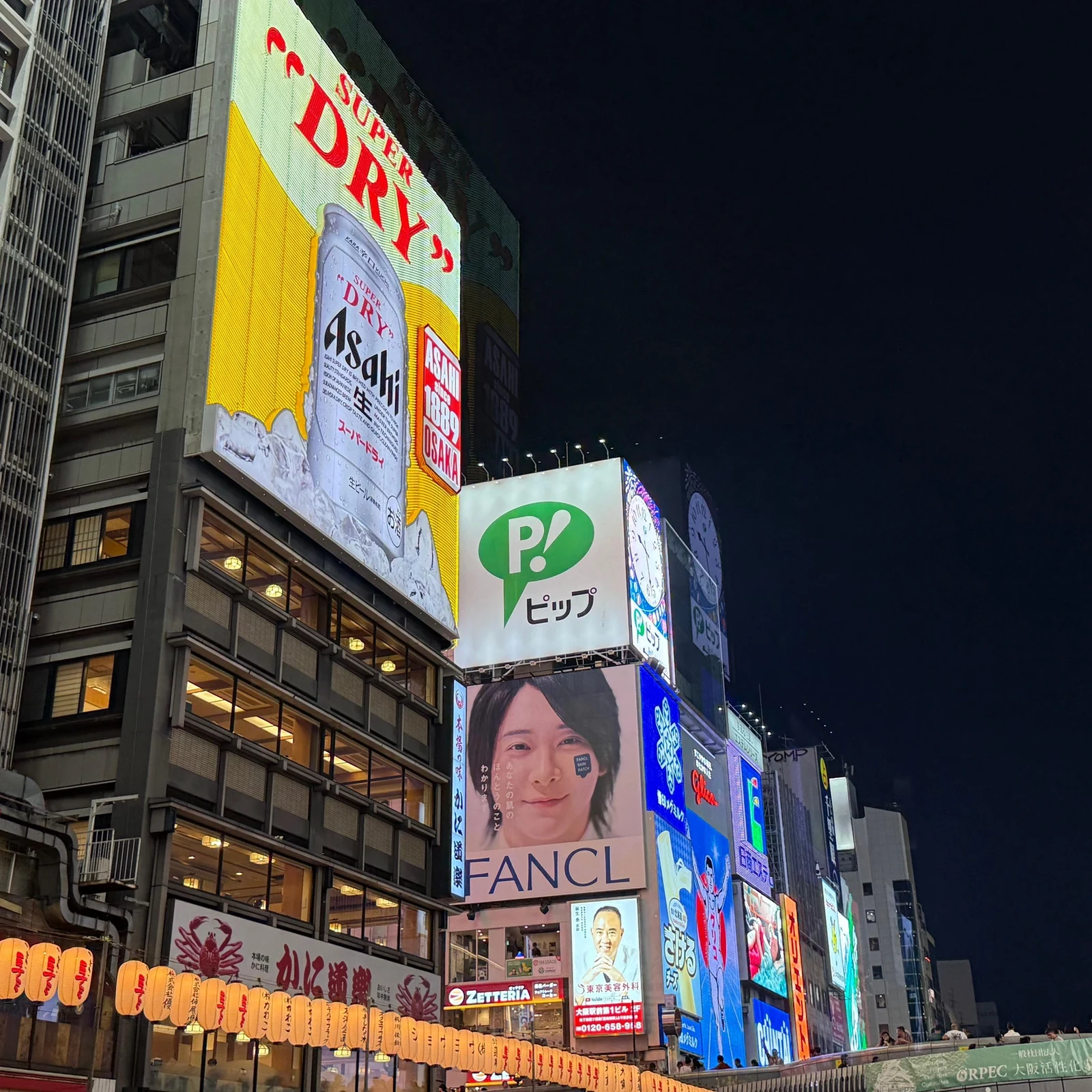 Crucero por Dotonbori en Osaka con vistas al cartel de Glico