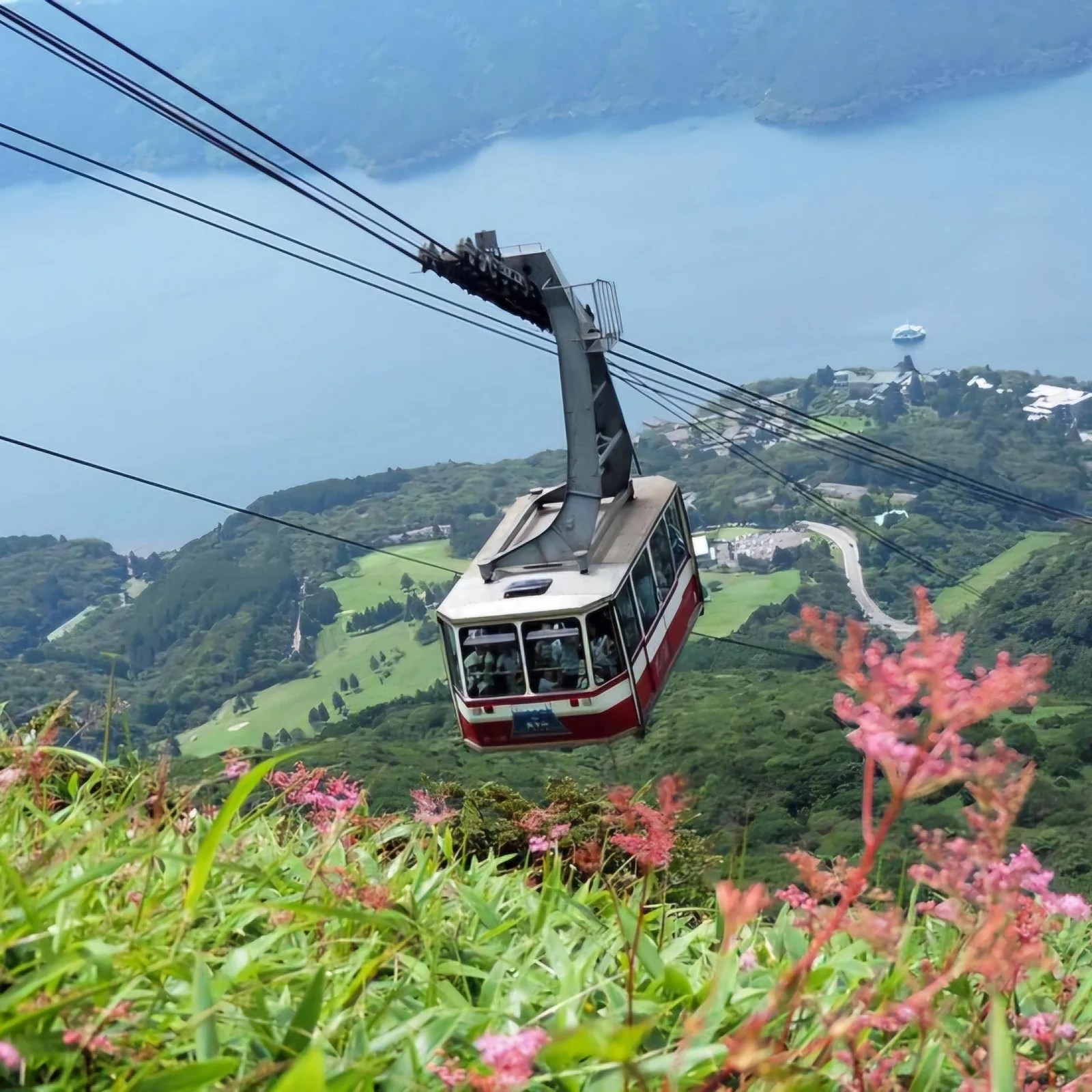 Private Hiroshima and Miyajima tour: history, culture and scenery in one day