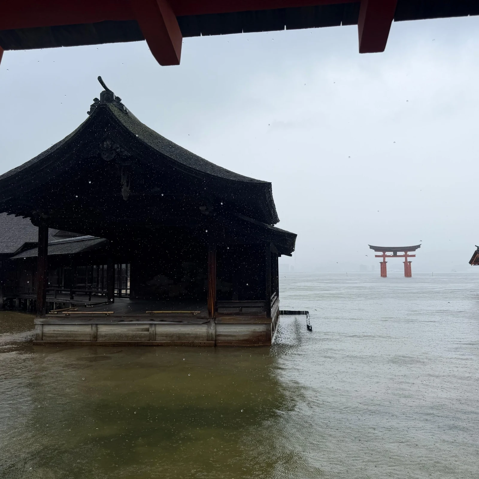 Excursión de Osaka a Hiroshima y Miyajima en tren bala