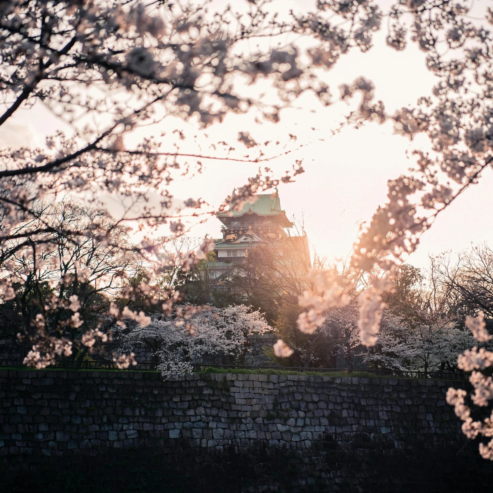 Private Osaka-Tour mit Auto und Hotelabholung