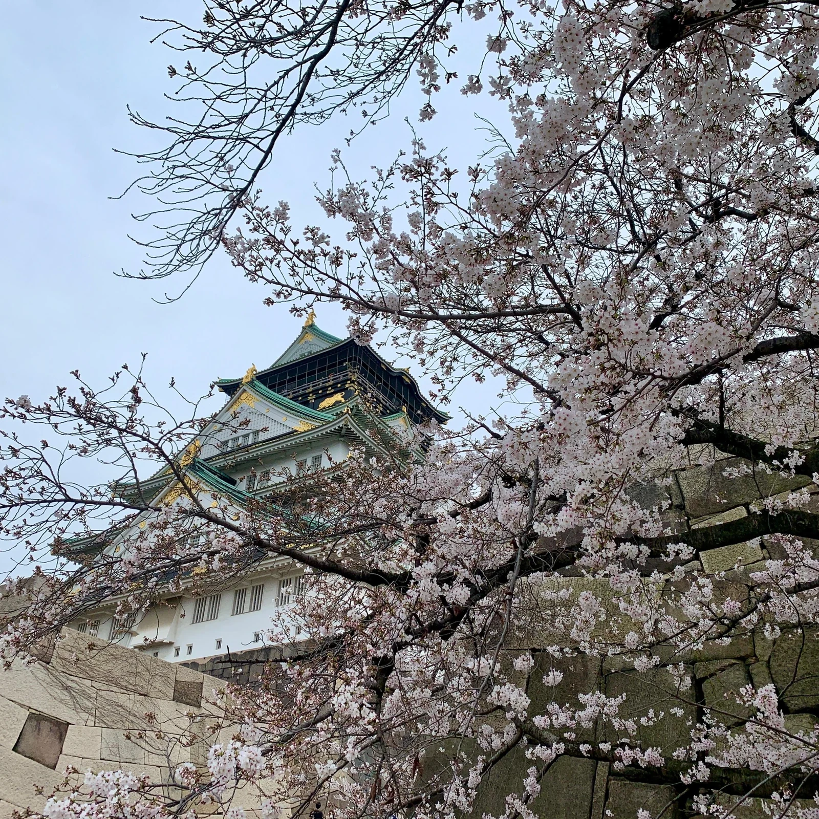Geführter Rundgang durch Osaka mit einheimischem Guide und Burgeintritt