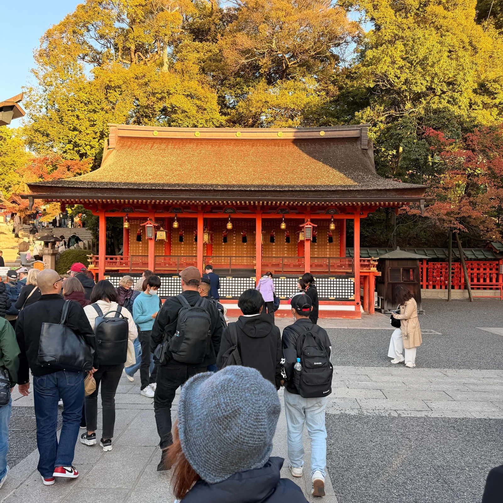 Private Kyoto tour with driver, tailored to your pace