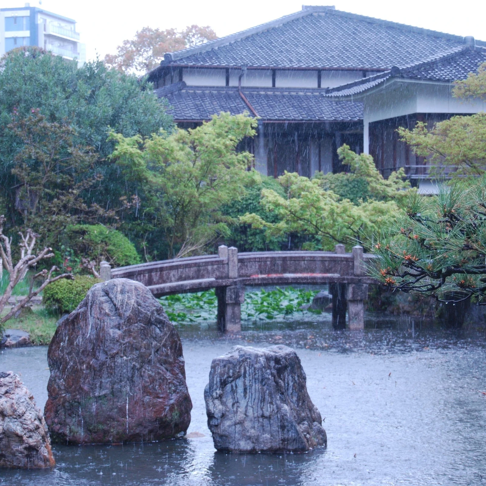 Private Shitennoji-Tempelführung in Osaka