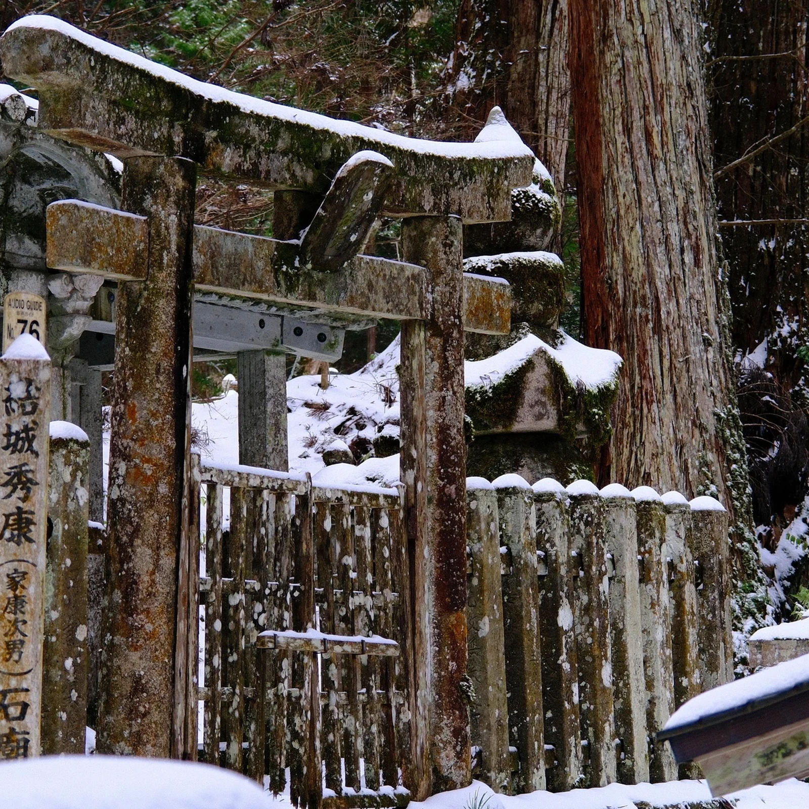 Excursion au mont Koya depuis Osaka : temples, Okunoin et rituel Goma