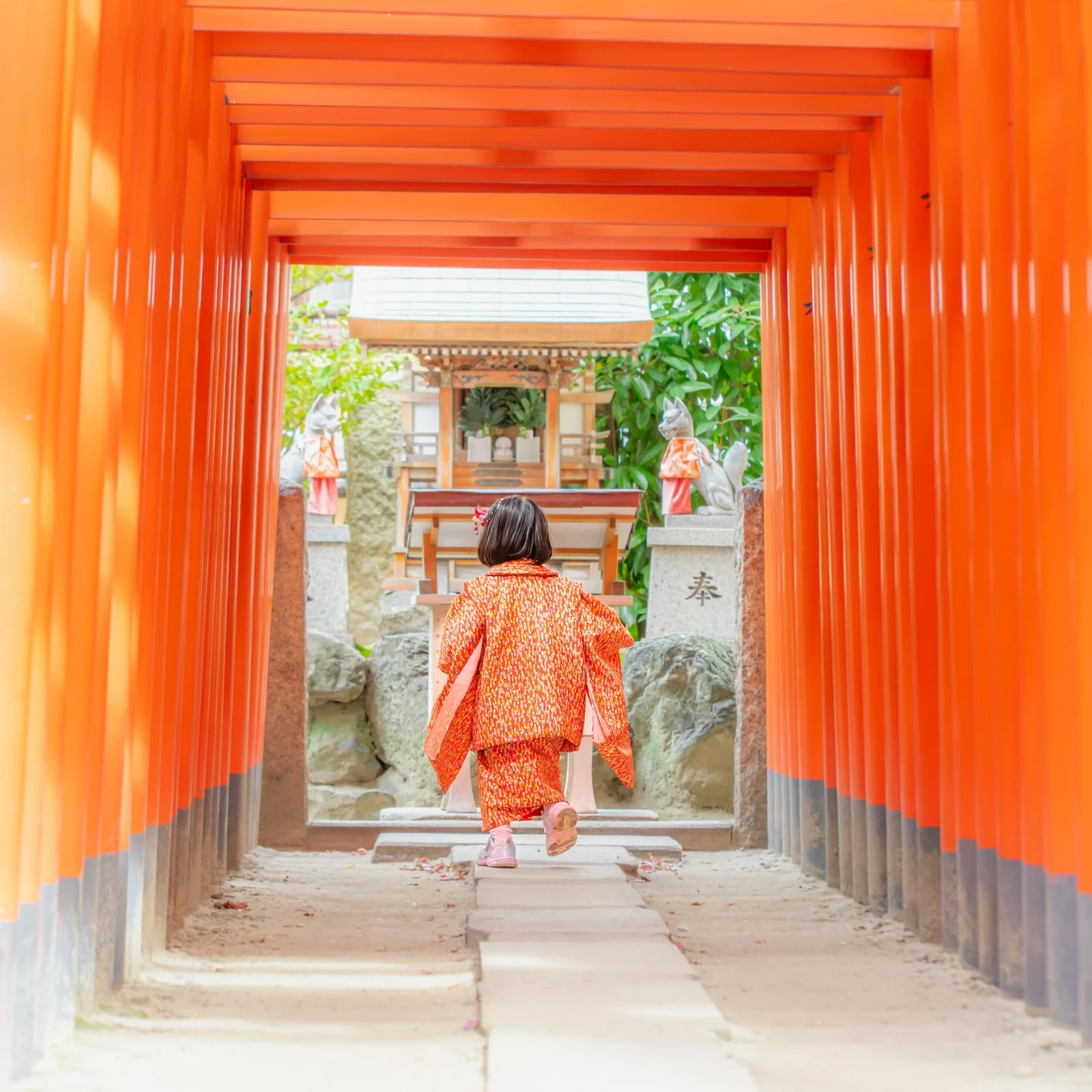 Fotoshooting am Osaka Castle mit privatem Videospaziergang