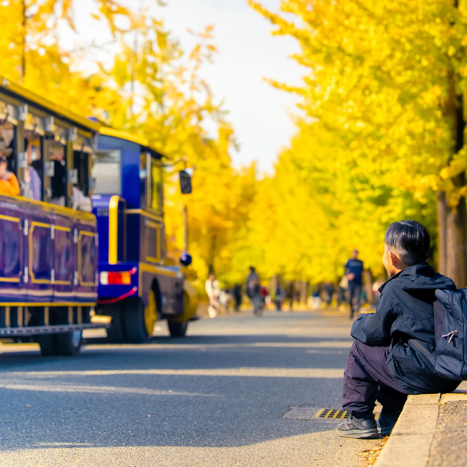 Osaka Castle Photo Session: Professional Memories in 90 Minutes