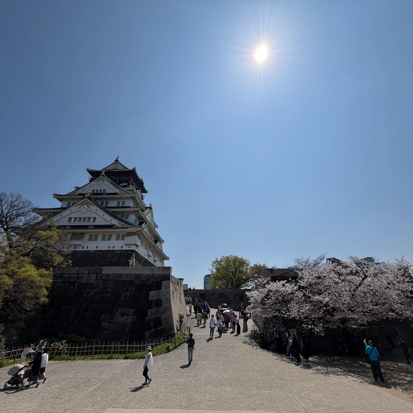 Private Osaka-Tour mit lokalem Guide in deinem Tempo