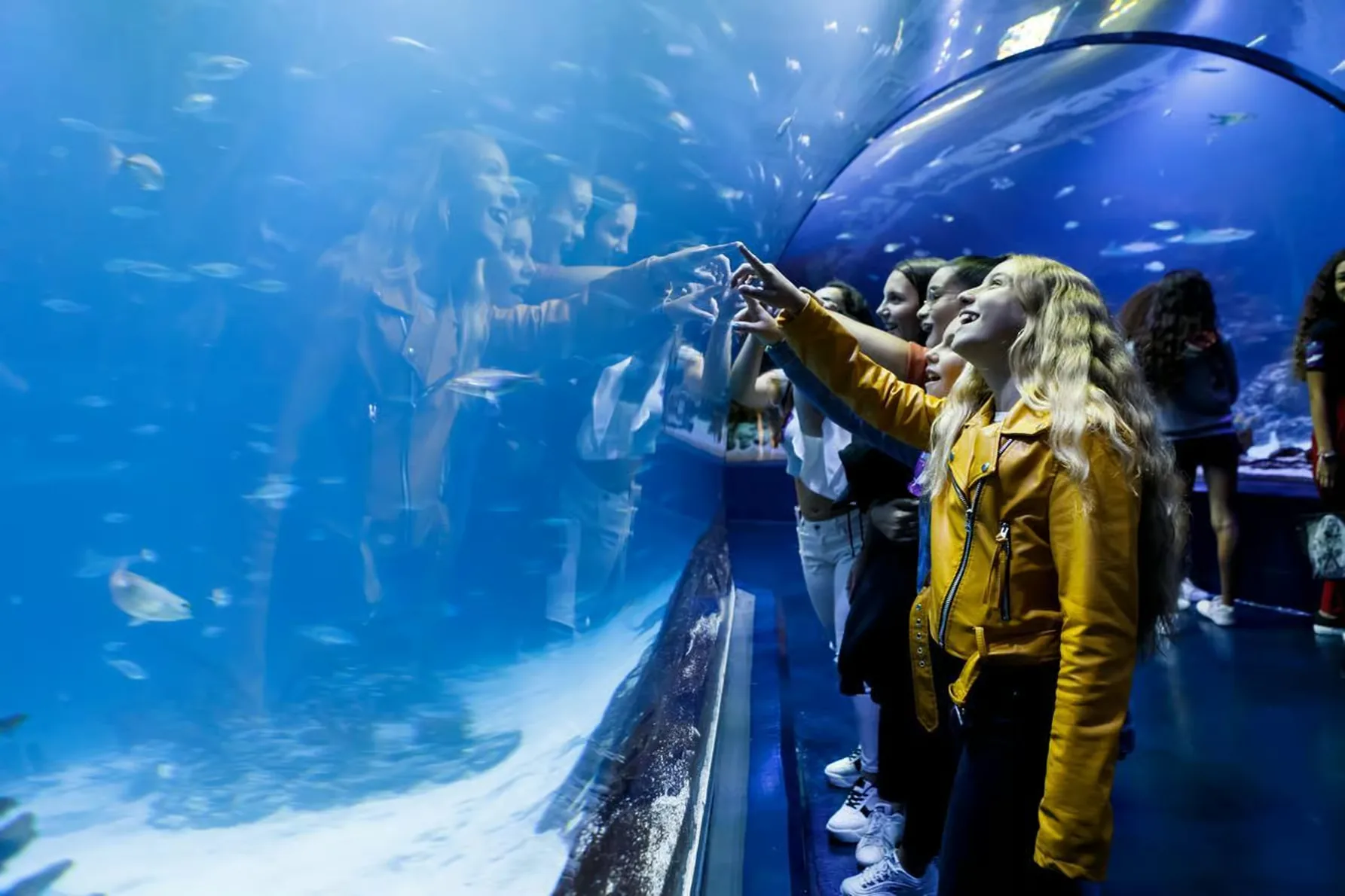 Eintritt ins Atlantis Aquarium Madrid