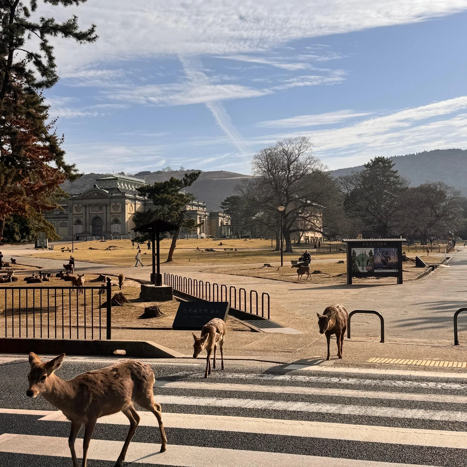 Private Tour durch Kyoto und Nara an einem Tag, in Ihrem Tempo
