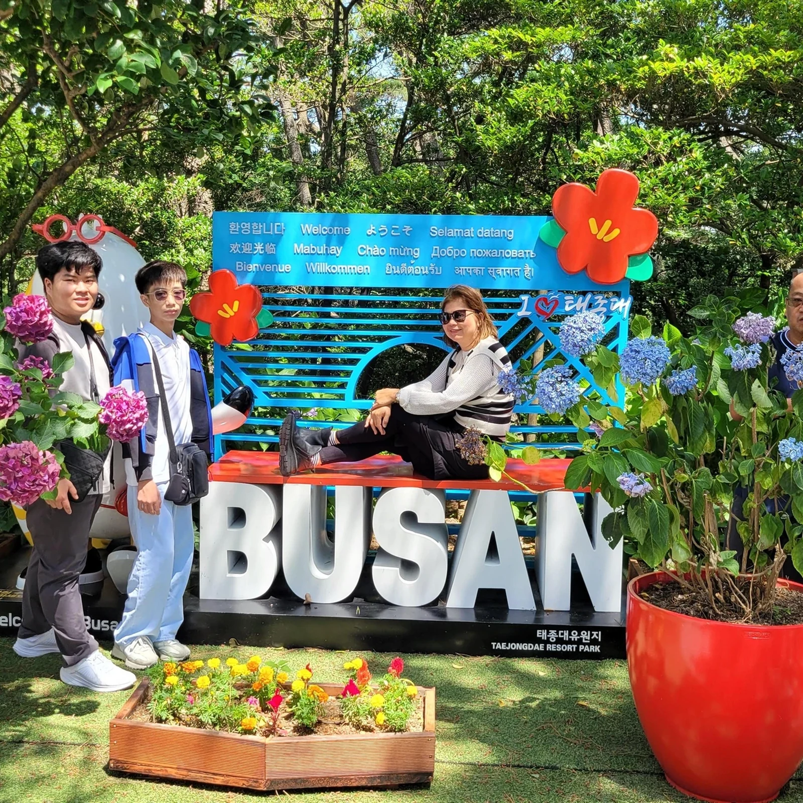 Busan Day Trip from Seoul by KTX: Coast and Sky Capsule