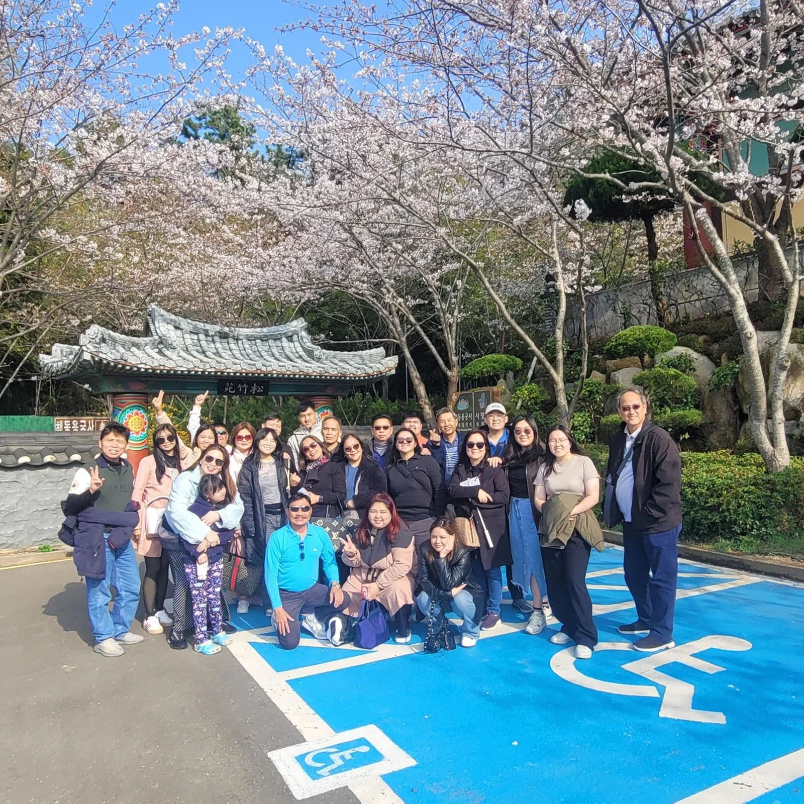 Busan Day Trip from Seoul by KTX: Coast and Sky Capsule