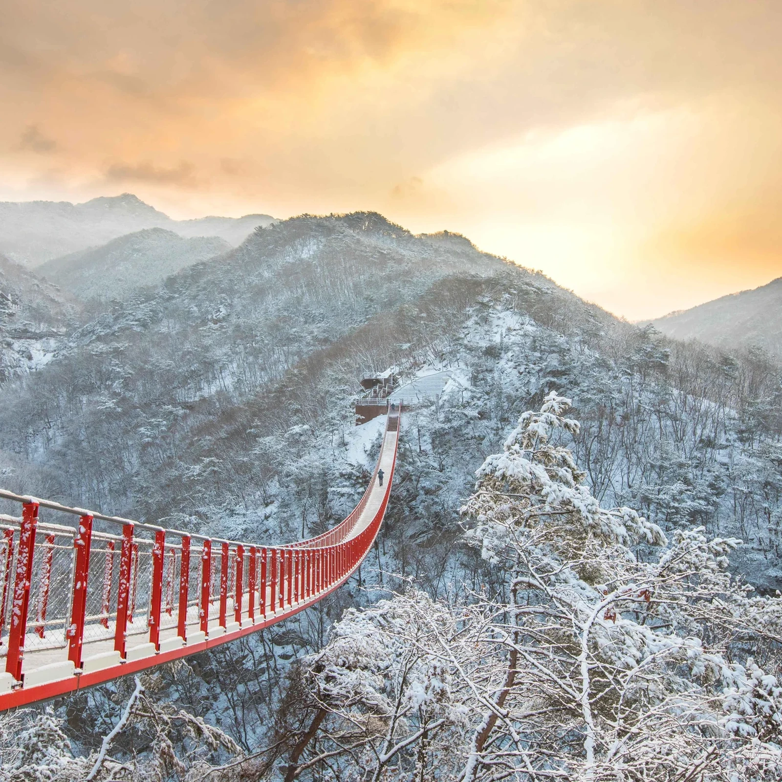 DMZ Tour ab Seoul: Dritter Tunnel, Dora-Observatorium und Hängebrücke