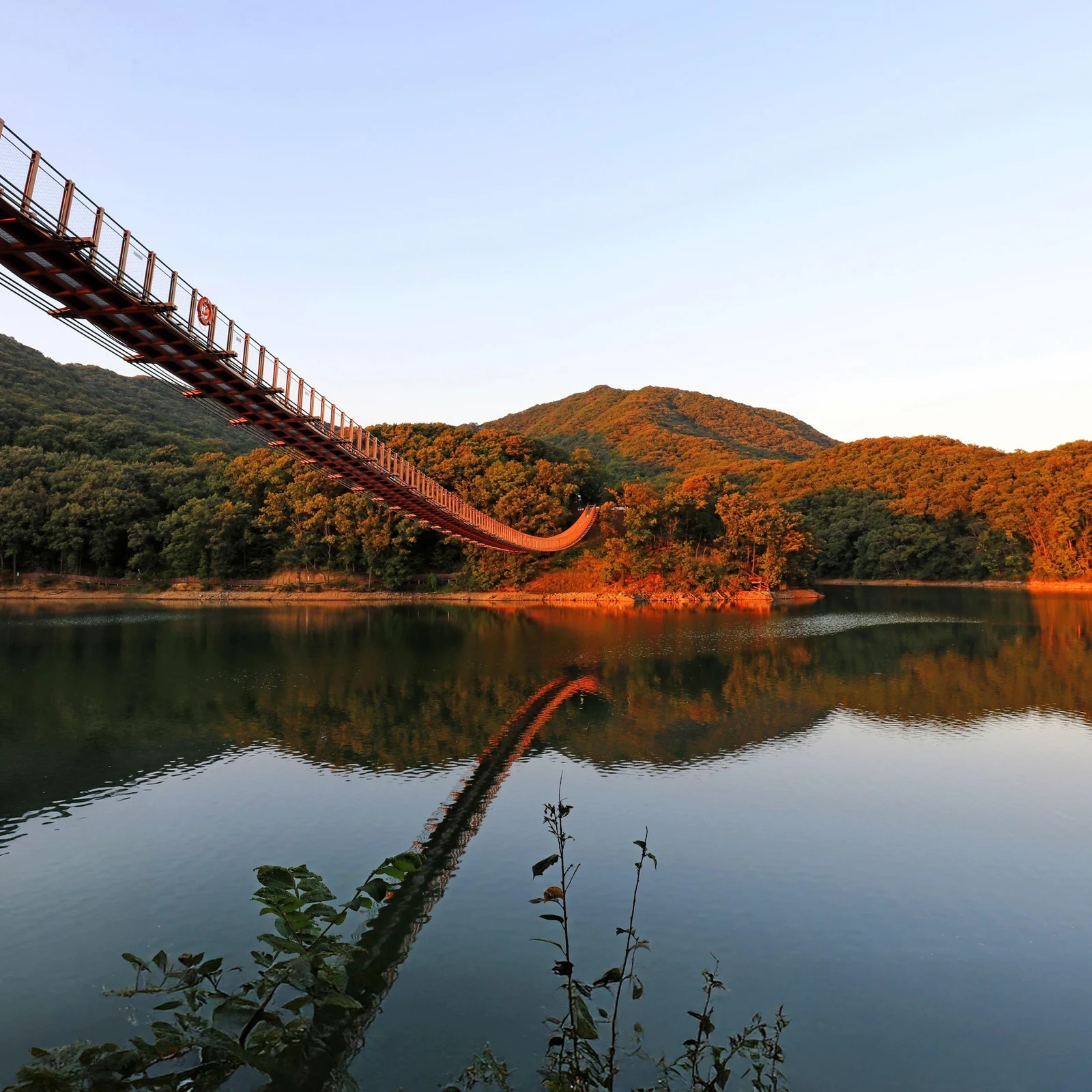 Tour de la DMZ desde Seúl: descubre la historia de la frontera coreana