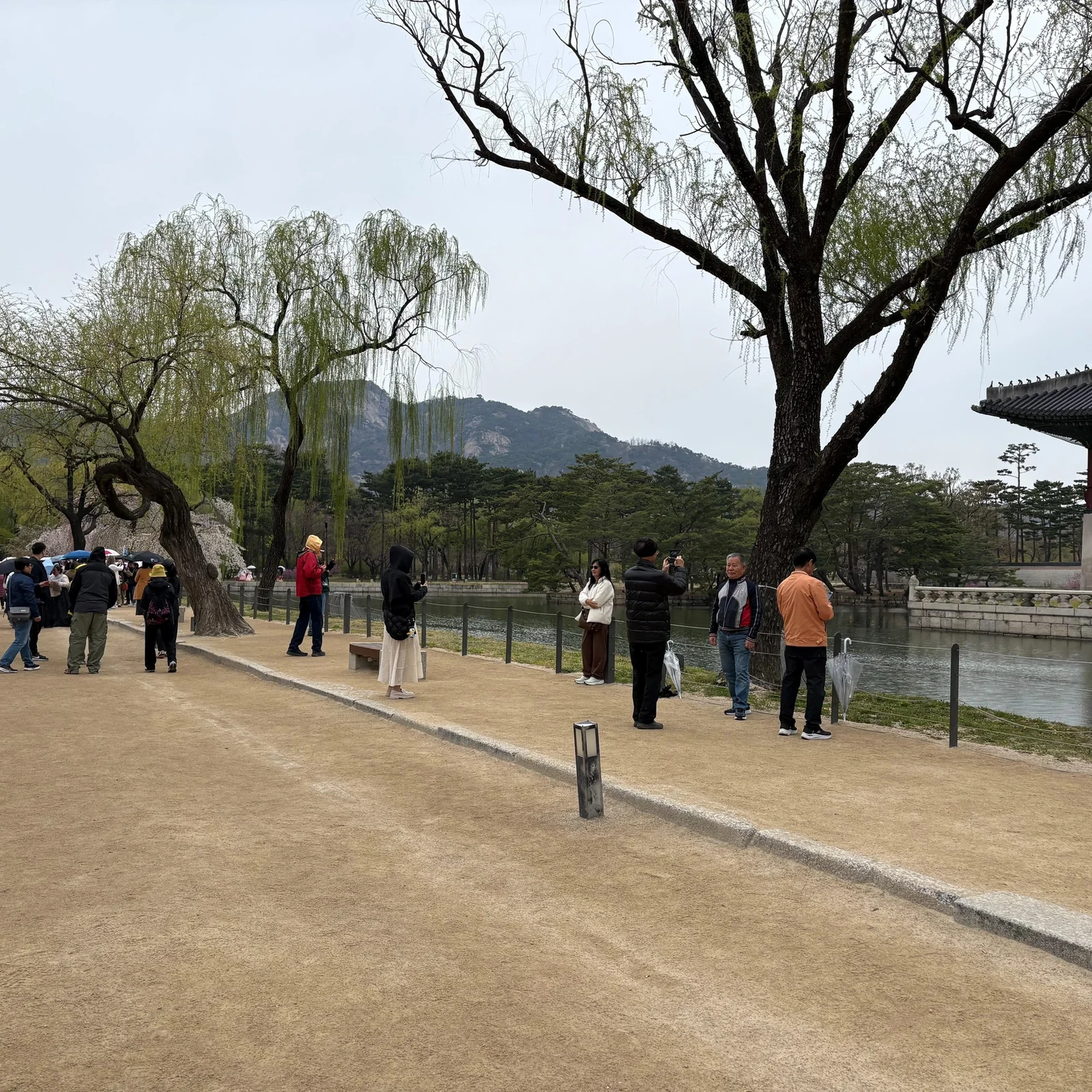 Visite de Gyeongbokgung et Bukchon avec hanbok en option