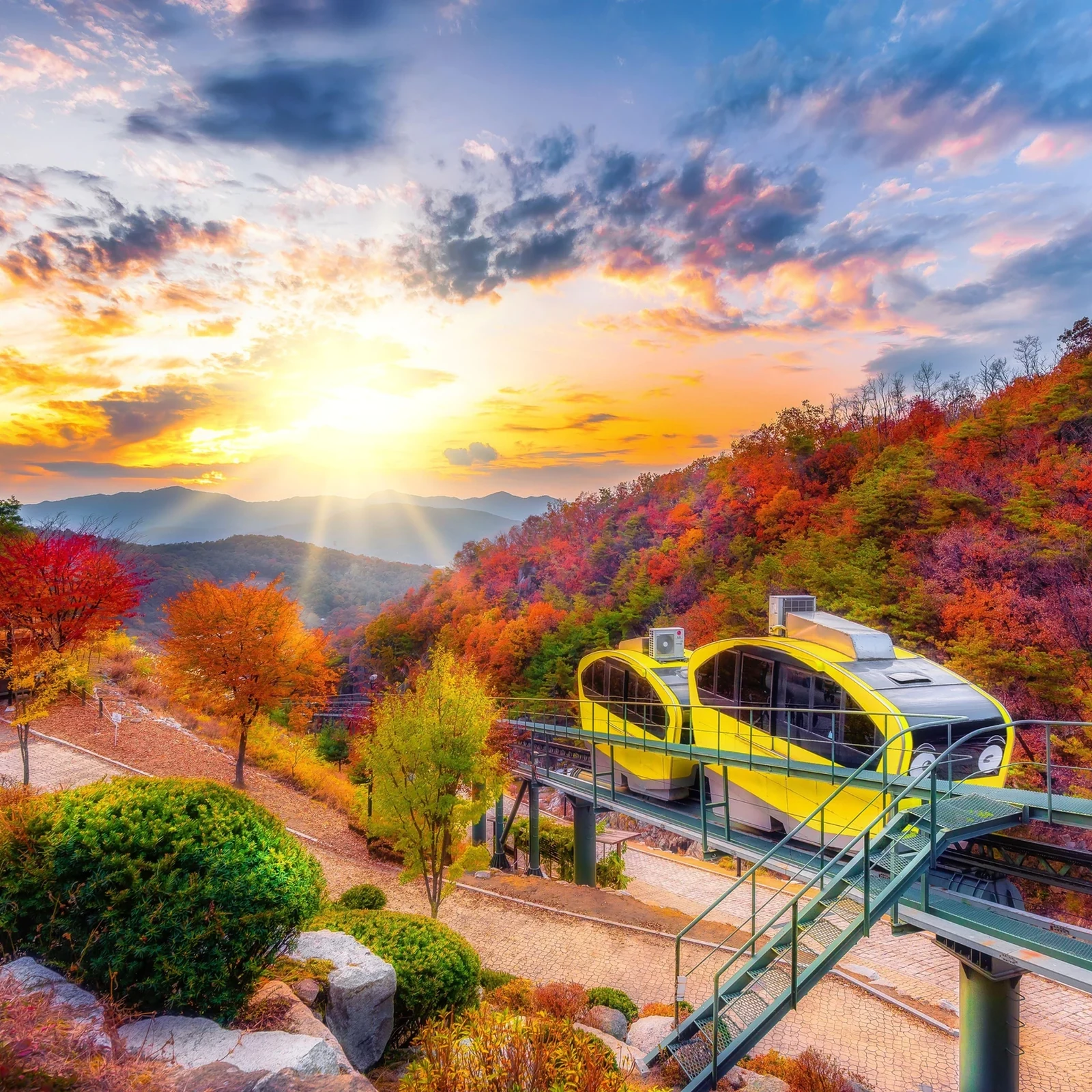 Tagesausflug von Seoul nach Pocheon: UNESCO-Geopark, Herb Island und Art Valley