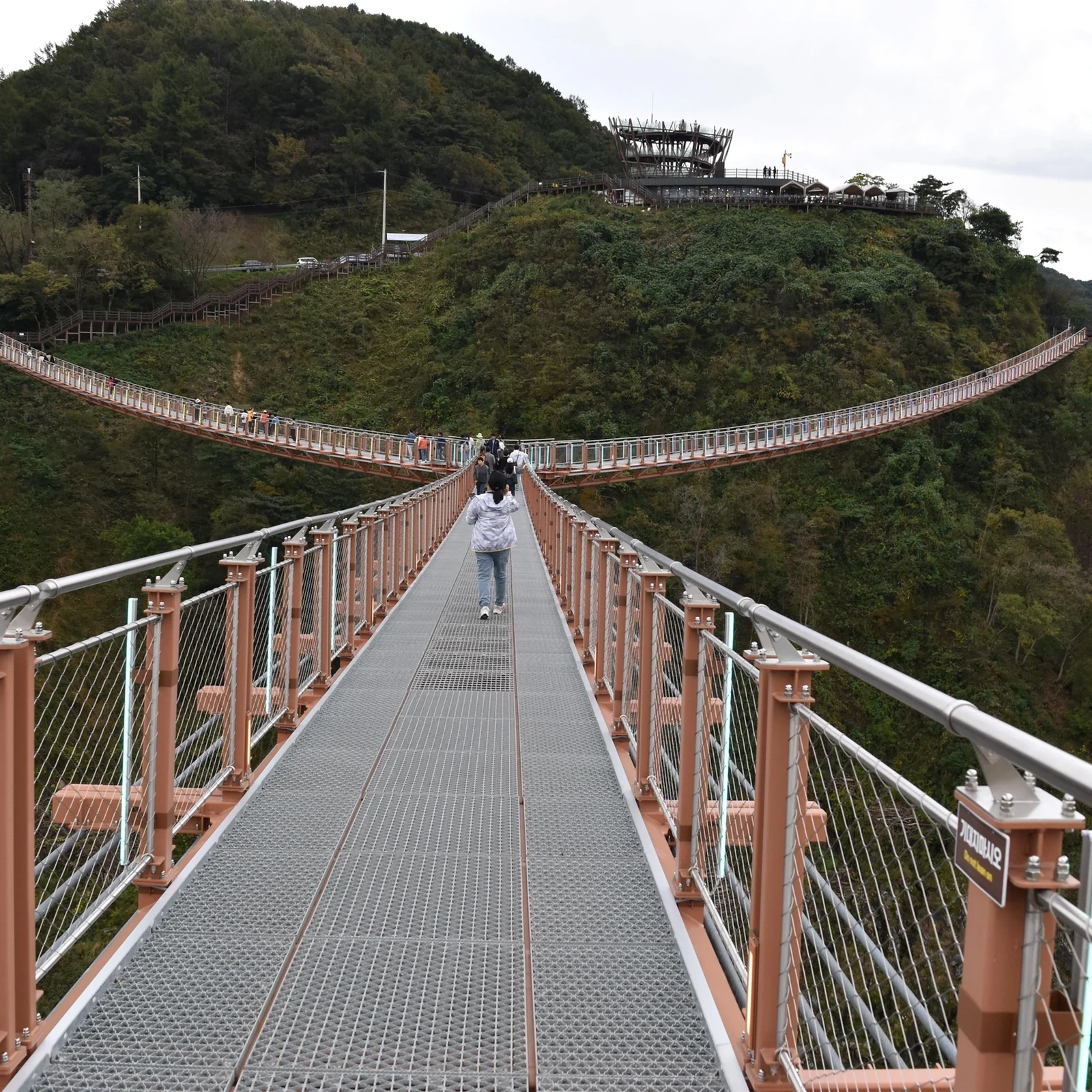 Excursión a Pocheon desde Seúl entre volcanes, jardines y Art Valley