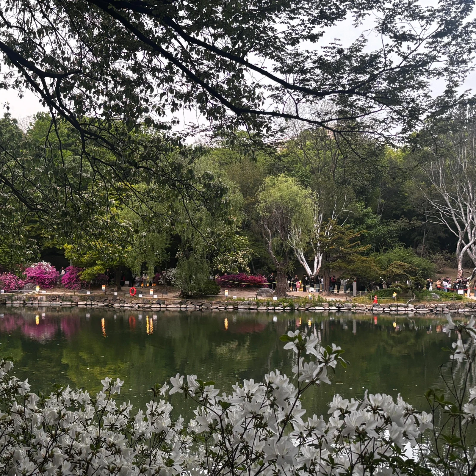 Seoul Food-Tour bei Nacht: Palast, Markt und über 11 Kostproben