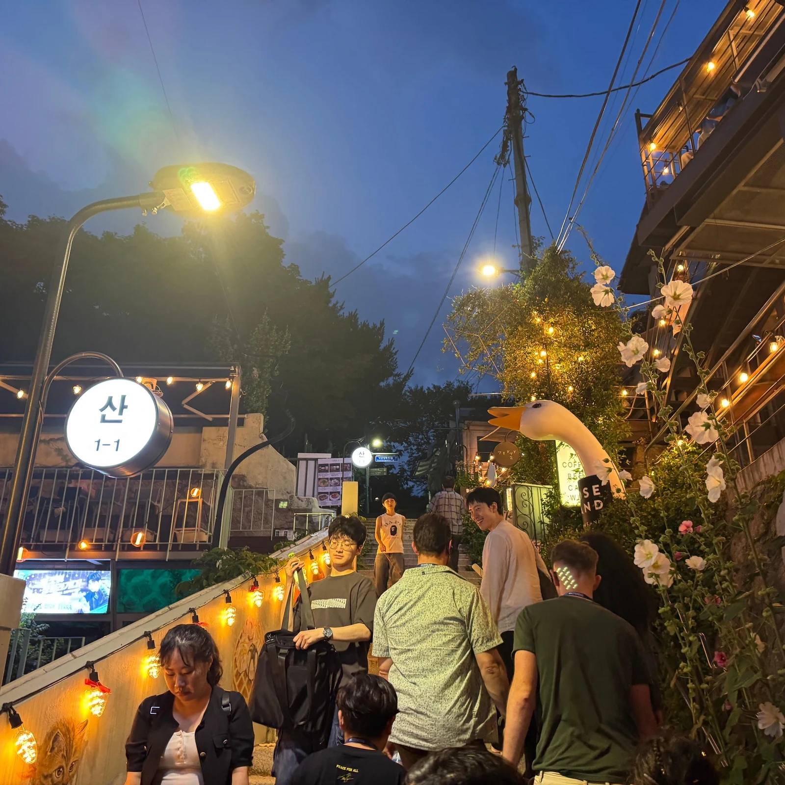 Nächtliche Tour durch Seoul zu verborgenen Schätzen: Lohnt sie sich?
