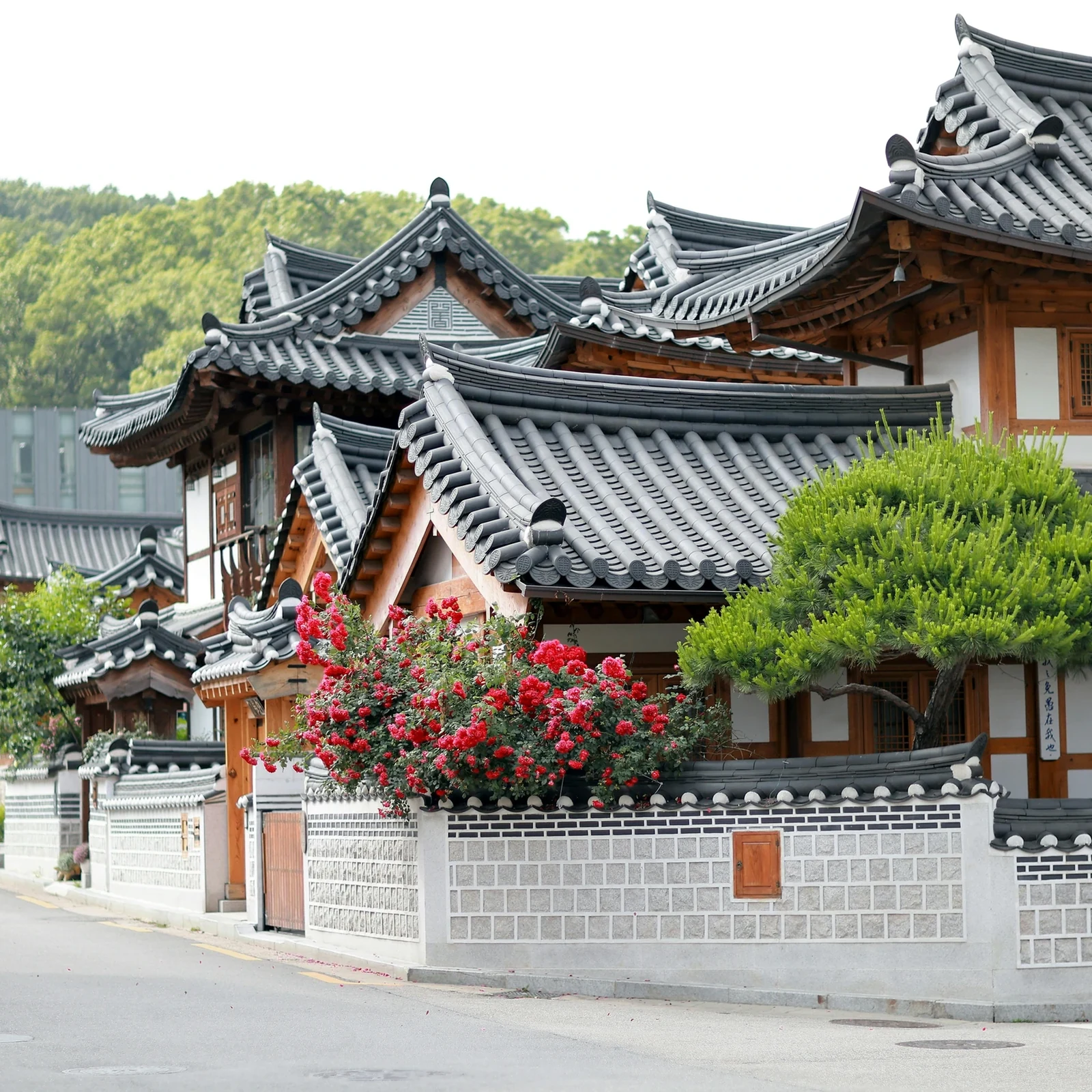 Private Seoul-Tour mit lokalem Guide: Preis, Bewertungen und Ablauf