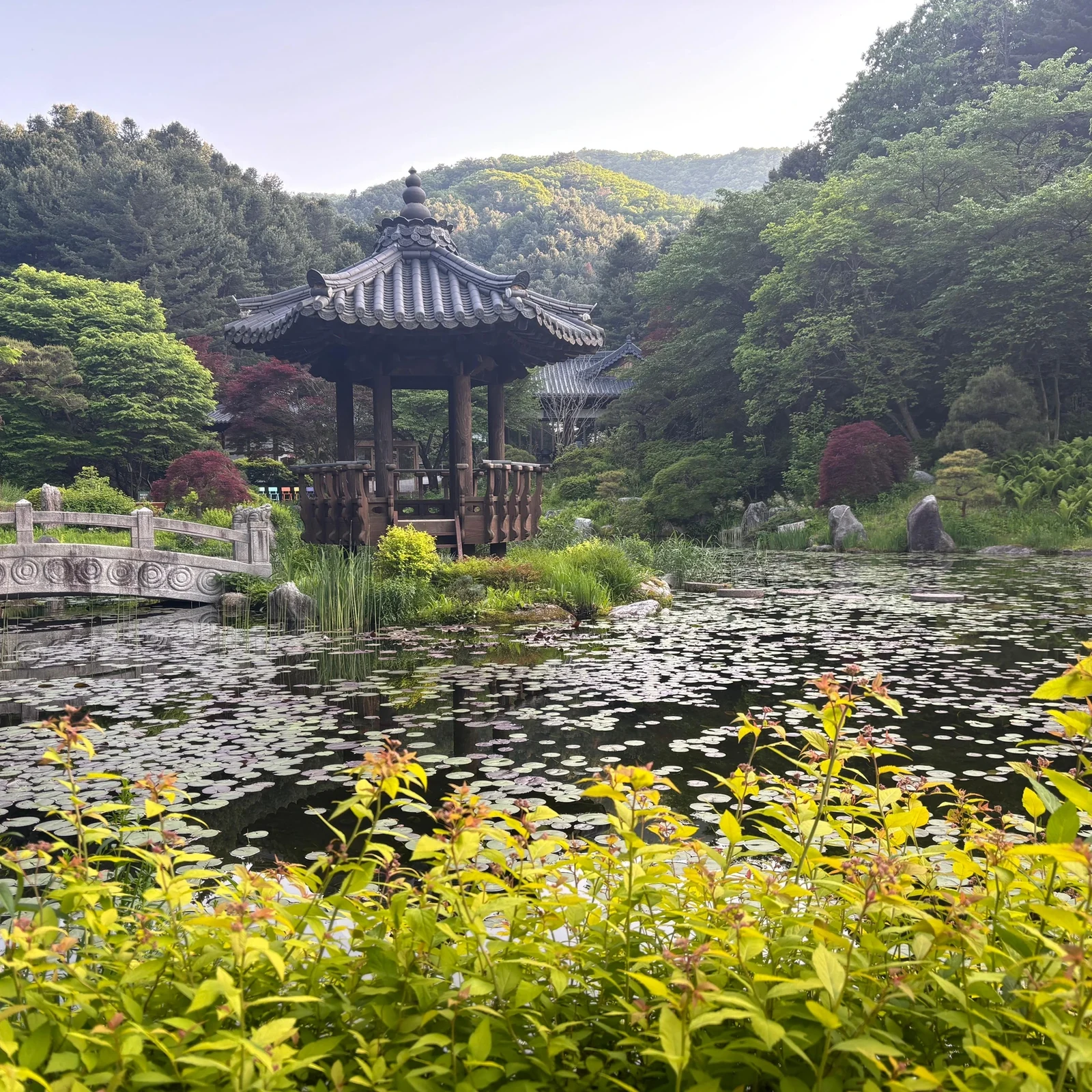 Excursión desde Seúl a Seoraksan, Nami Island y Garden of Morning Calm