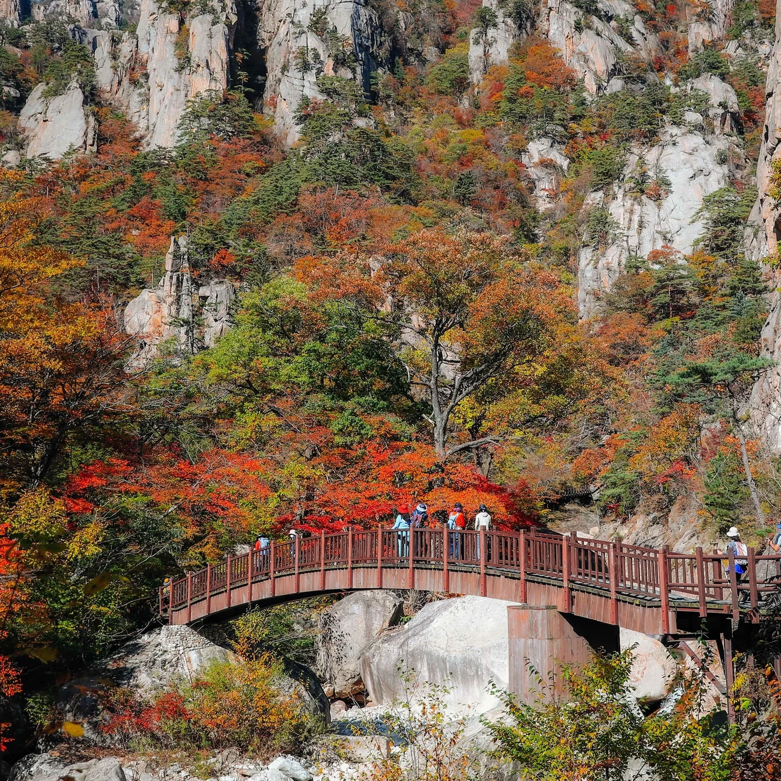 Tagesausflug ab Seoul zum Seoraksan, nach Nami Island und zum Garden of Morning Calm