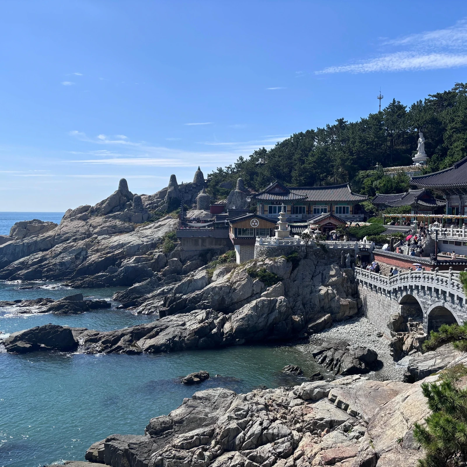 Busan Top Attractions Day Tour: Itinerary and Review