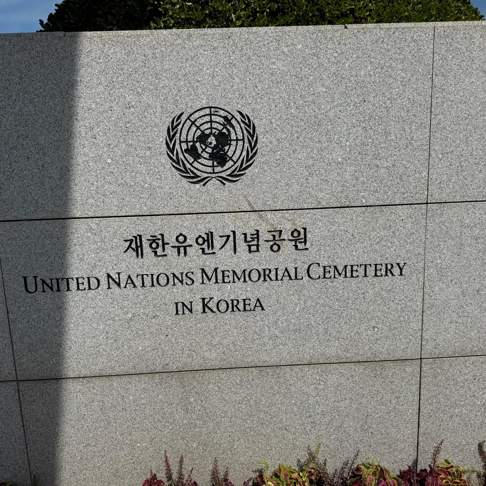 Tour de un día por Busan: descubre sus grandes imprescindibles