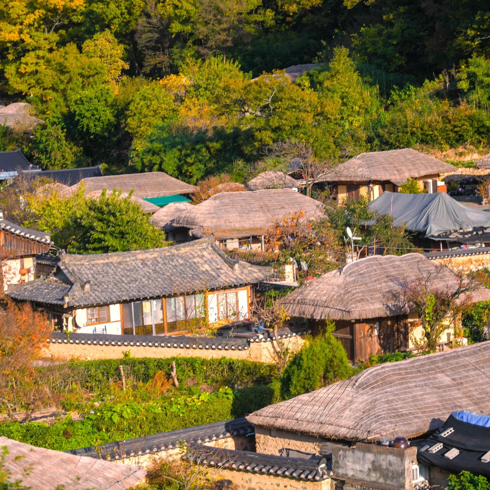 Tagesausflug von Busan nach Gyeongju in die alte Silla-Hauptstadt