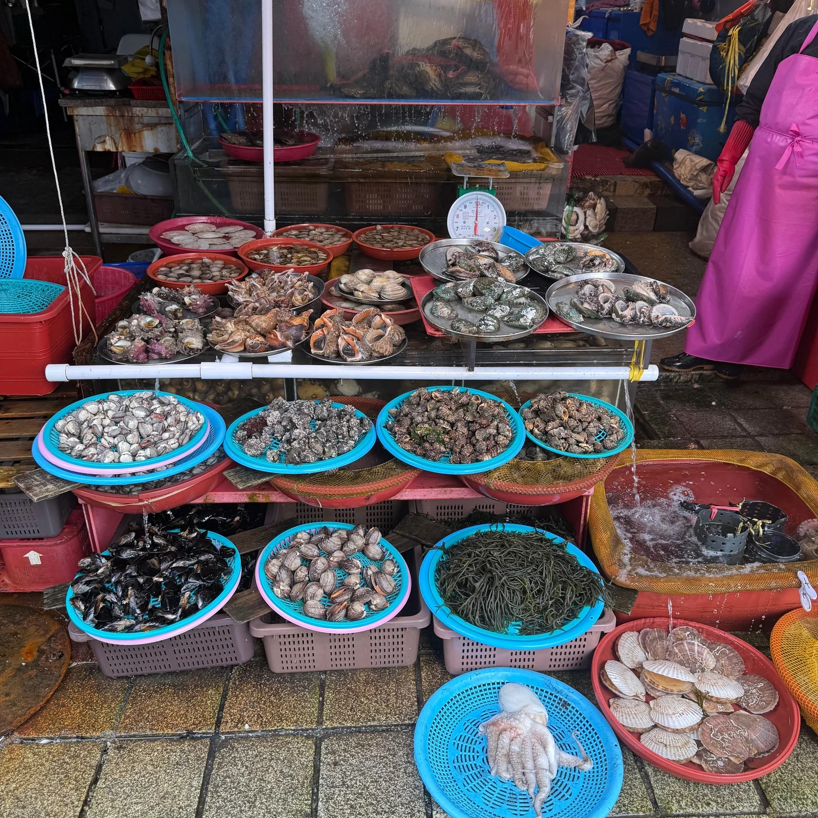 Full-Day Busan Tour with Hotel Pickup and City Highlights