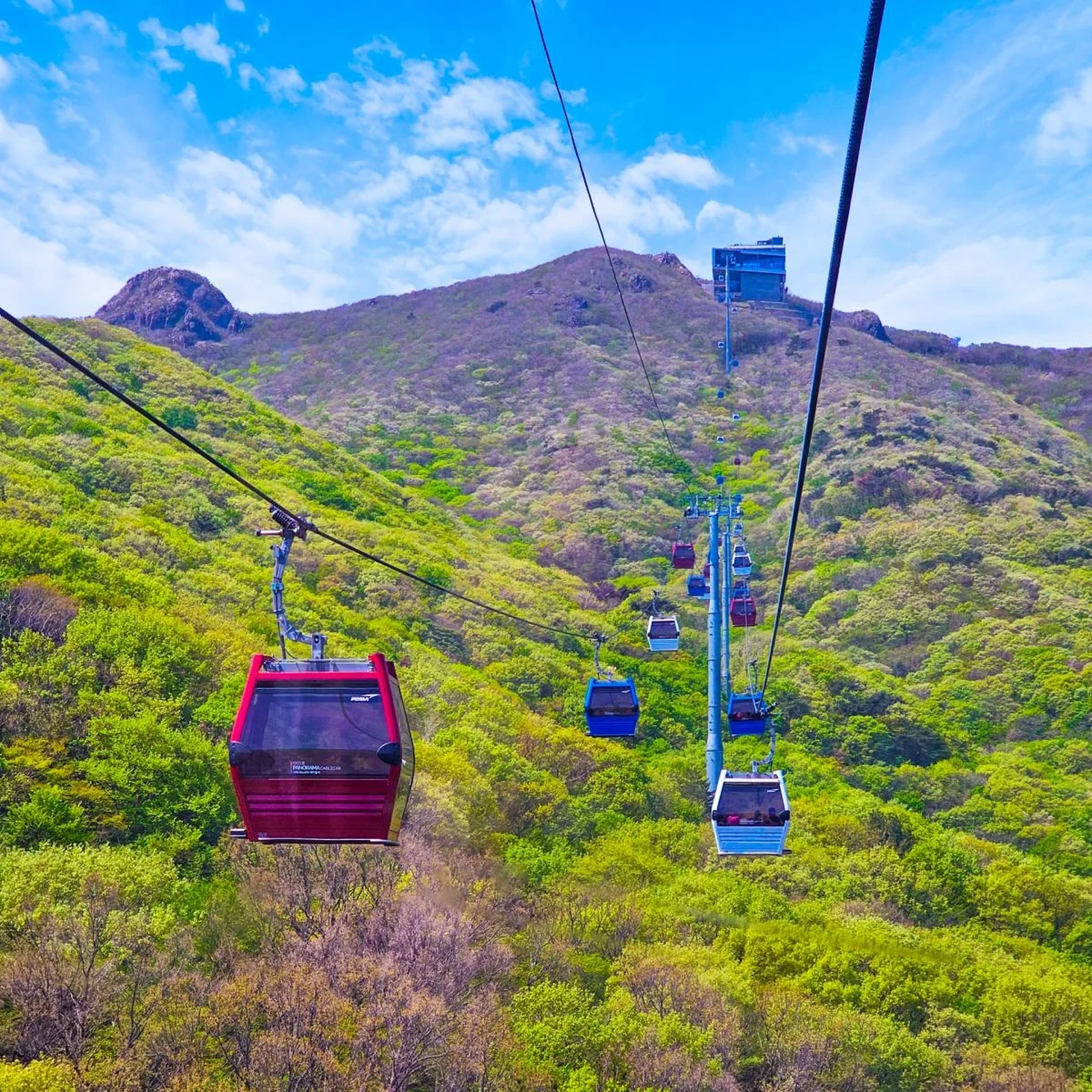 Excursion à Geoje et Oedo depuis Busan : téléphérique, croisière et jardins