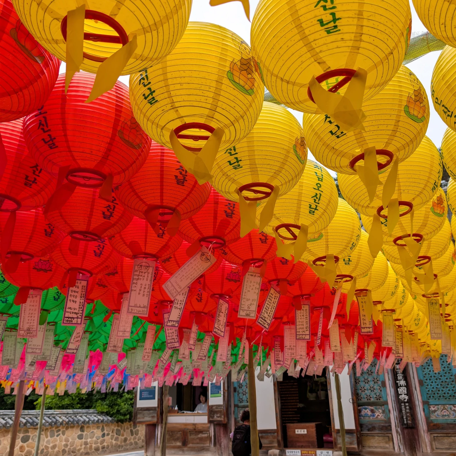 Excursion de Busan à Gyeongju au cœur du patrimoine UNESCO