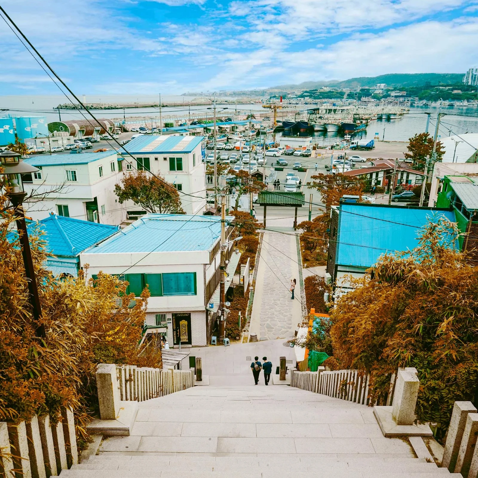 Tagesausflug von Busan nach Pohang mit Space Walk, Guryongpo und Homigot