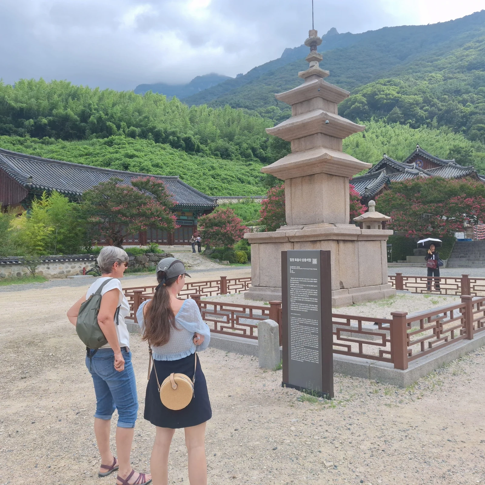 Tagesausflug von Busan nach Miryang: Kulturerbe und Makgeolli