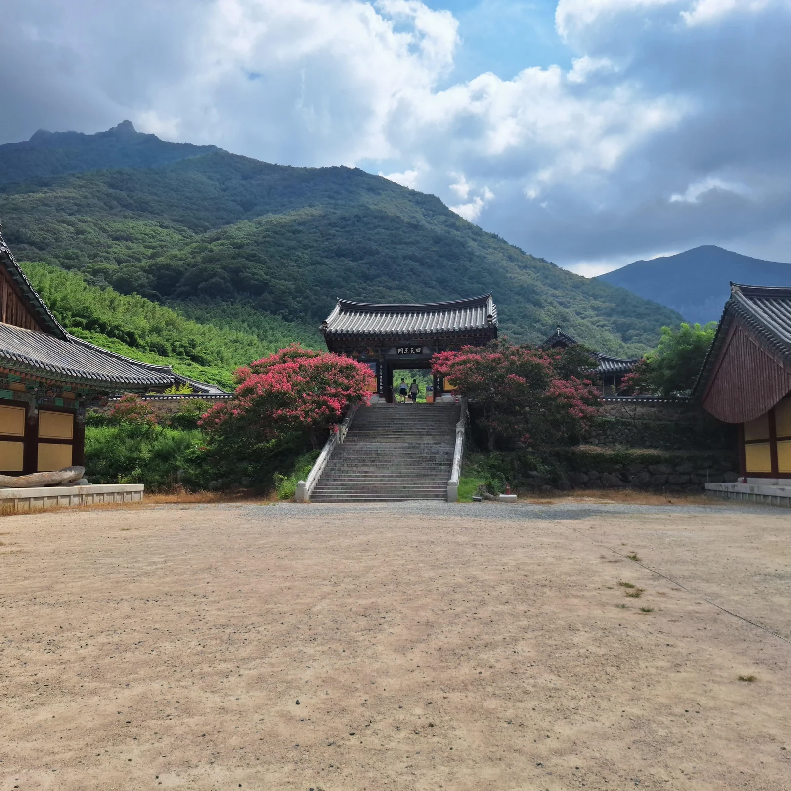 Busan to Miryang Day Trip: Heritage and Apple Makgeolli