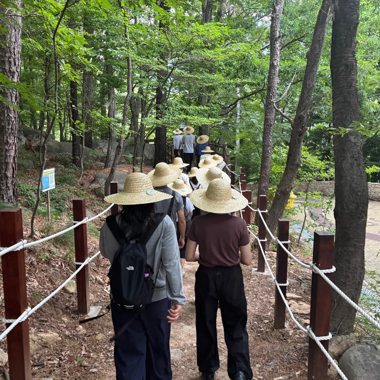 Beomeosa Temple Meditation and Tea Ceremony Tour