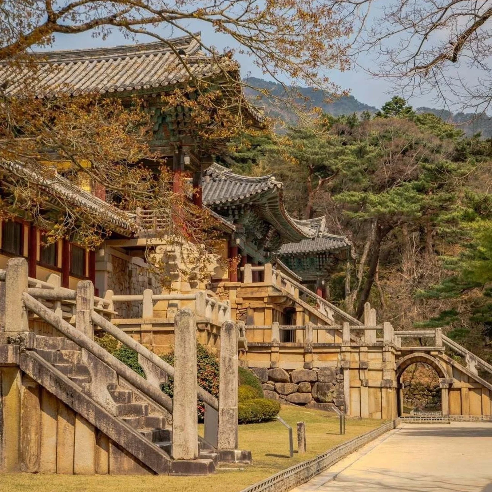 Excursion privée de Busan à Gyeongju adaptée à vos envies