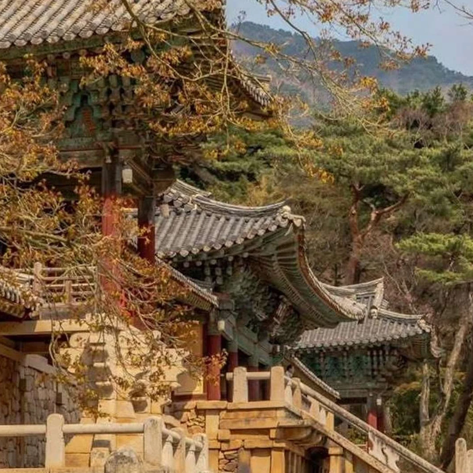 Excursion privée de Busan à Gyeongju adaptée à vos envies