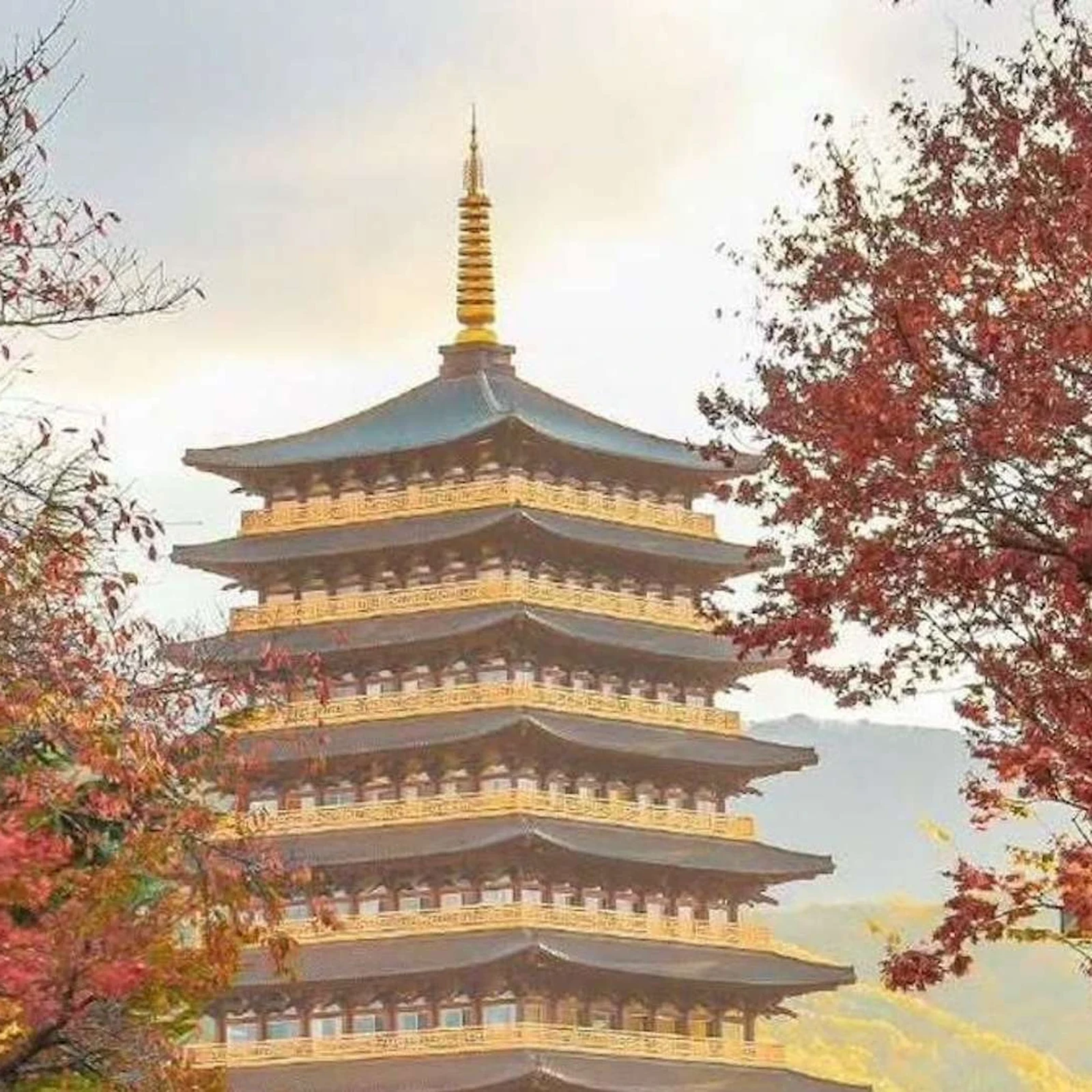 Excursion privée de Busan à Gyeongju adaptée à vos envies