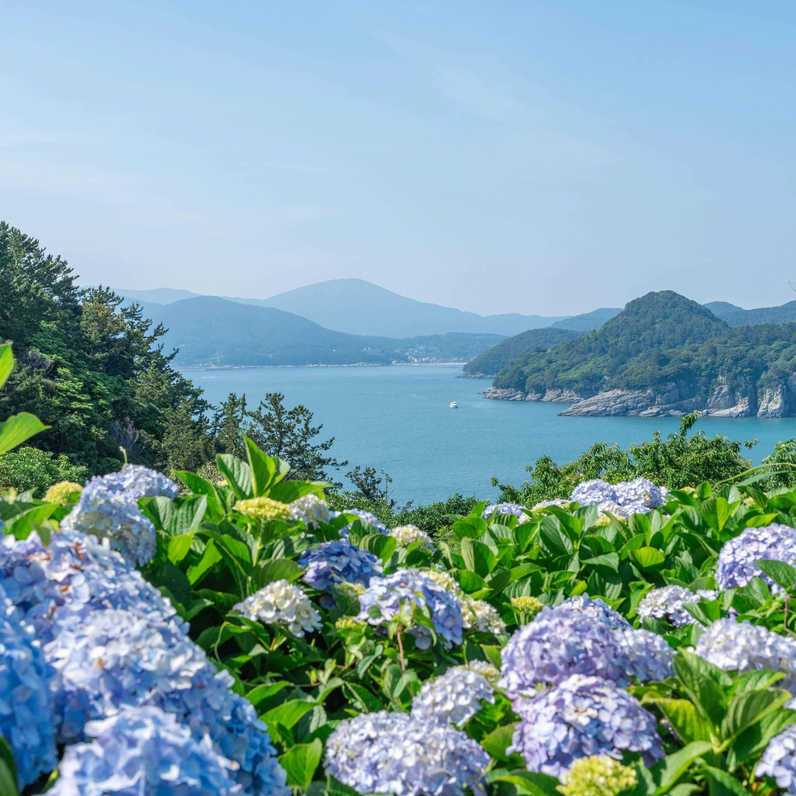 Tagesausflug von Busan nach Geoje und Oedo Botania