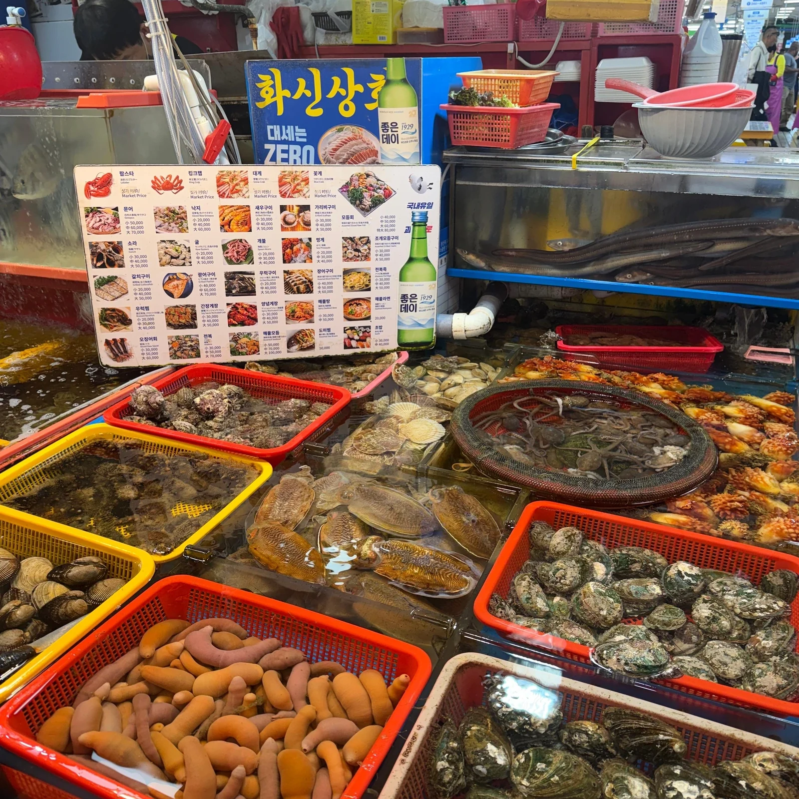 Tour nocturno por Busan: mercados, costa y miradores iluminados